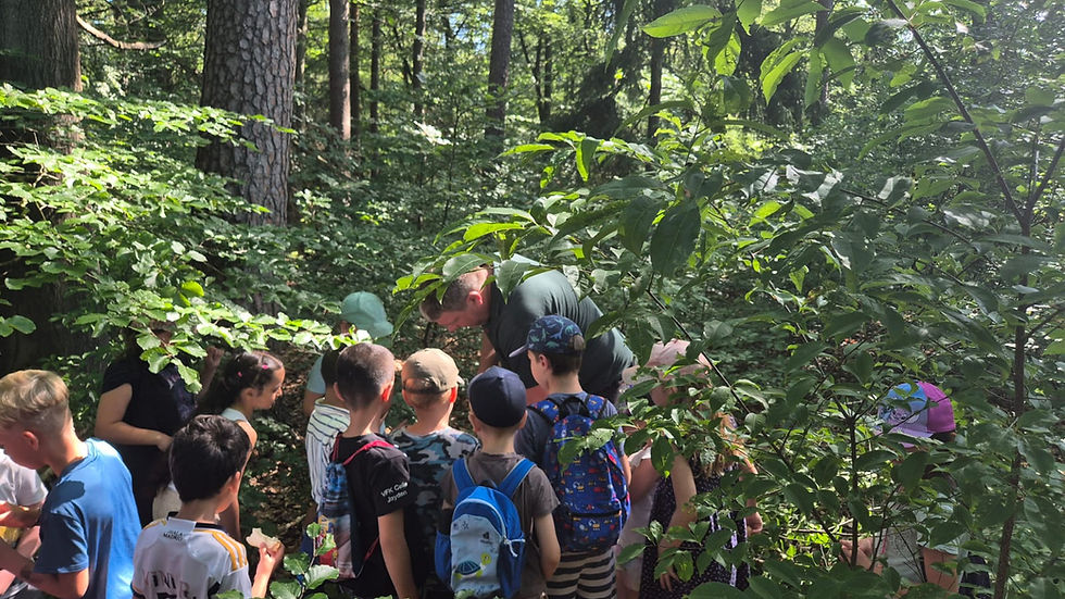 Kinder im Wald