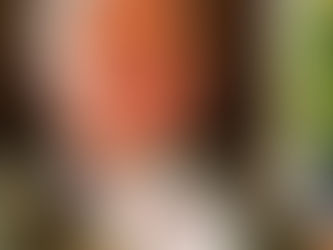 Buchvorstellung mit Heinrich Prinz von Hannover im Schloss Celle