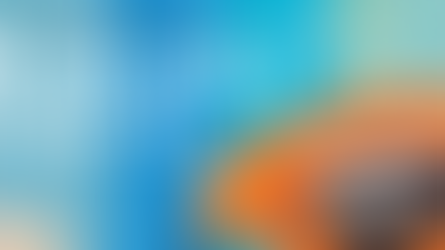 „Und weg war’s!“ Kuratorenführung durch Sonderausstellung des Bomann-Museums