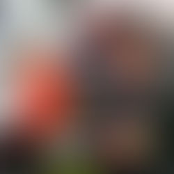 Hermannsburger Motorradrennfahrer rast zweimal aufs Sachsenring-Podest