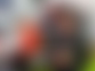 Hermannsburger Motorradrennfahrer rast zweimal aufs Sachsenring-Podest
