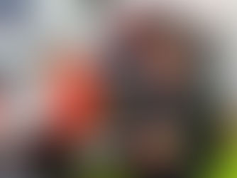 Hermannsburger Motorradrennfahrer rast zweimal aufs Sachsenring-Podest