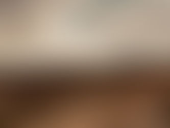 Die Entdeckung der Heide mit Valentin Ruths, Hermann Löns und Arno Schmidt