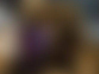 Feuerwehr Celle rettet Katze aus Baum