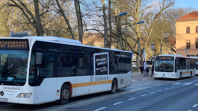 Zwei Busse im Grünen