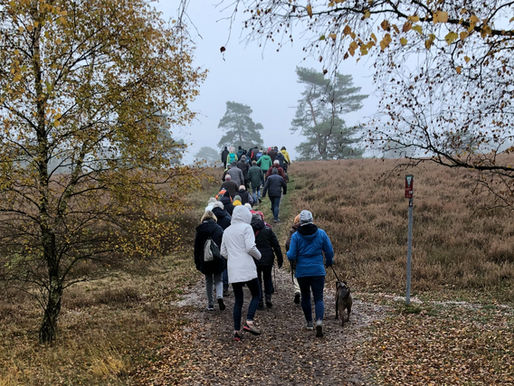 Natur in Pastellfarben: Vierjahreszeiten-Wanderung im November