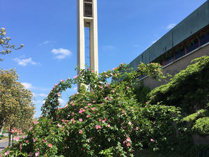 Kreuzkirche macht Nachmittags-KINO: