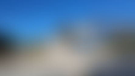 Asphaltarbeiten Wilhelm-Heinichen-Ring: Keine Busse in Welfenallee