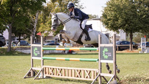 Dressur- und Springturnier in Misselhorn: Spannender Pferdesport und freier Eintritt