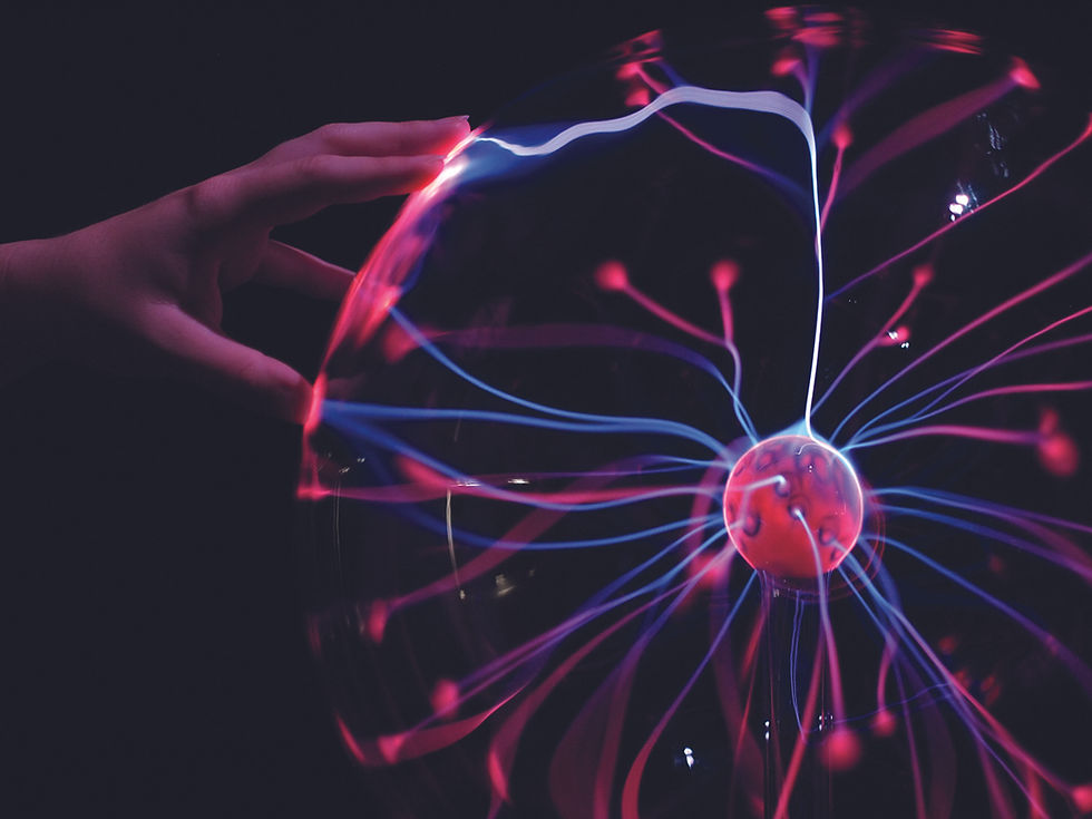 Foto: Bomann-Museum Celle