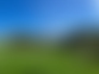 Zwei Einsätze in sechs Stunden: Feuerwehr Wienhausen gefordert