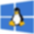 Windows 10 logo with Tux