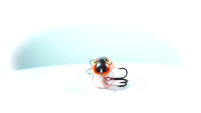BSHALL360_720p.gif