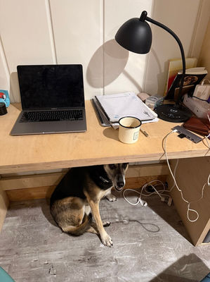 Sweet Eden Cowers Under the Desk Due to Thunder