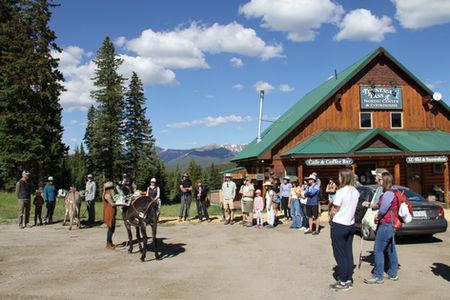 Education About Burros Before Hiking to Brunch