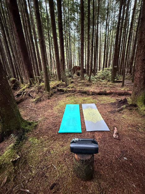 Immersive Rainforest Yoga