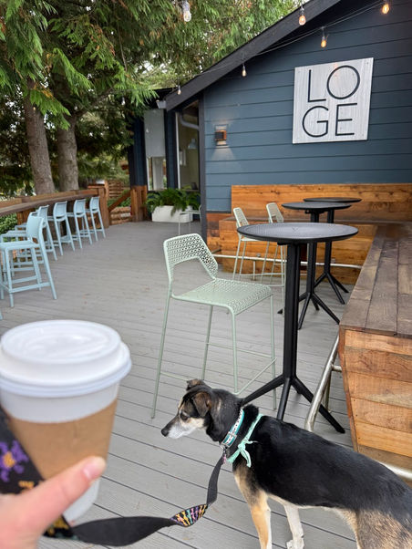 LOGE Cafe in Westport, WA