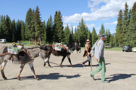 Hike With A Burro To Brunch