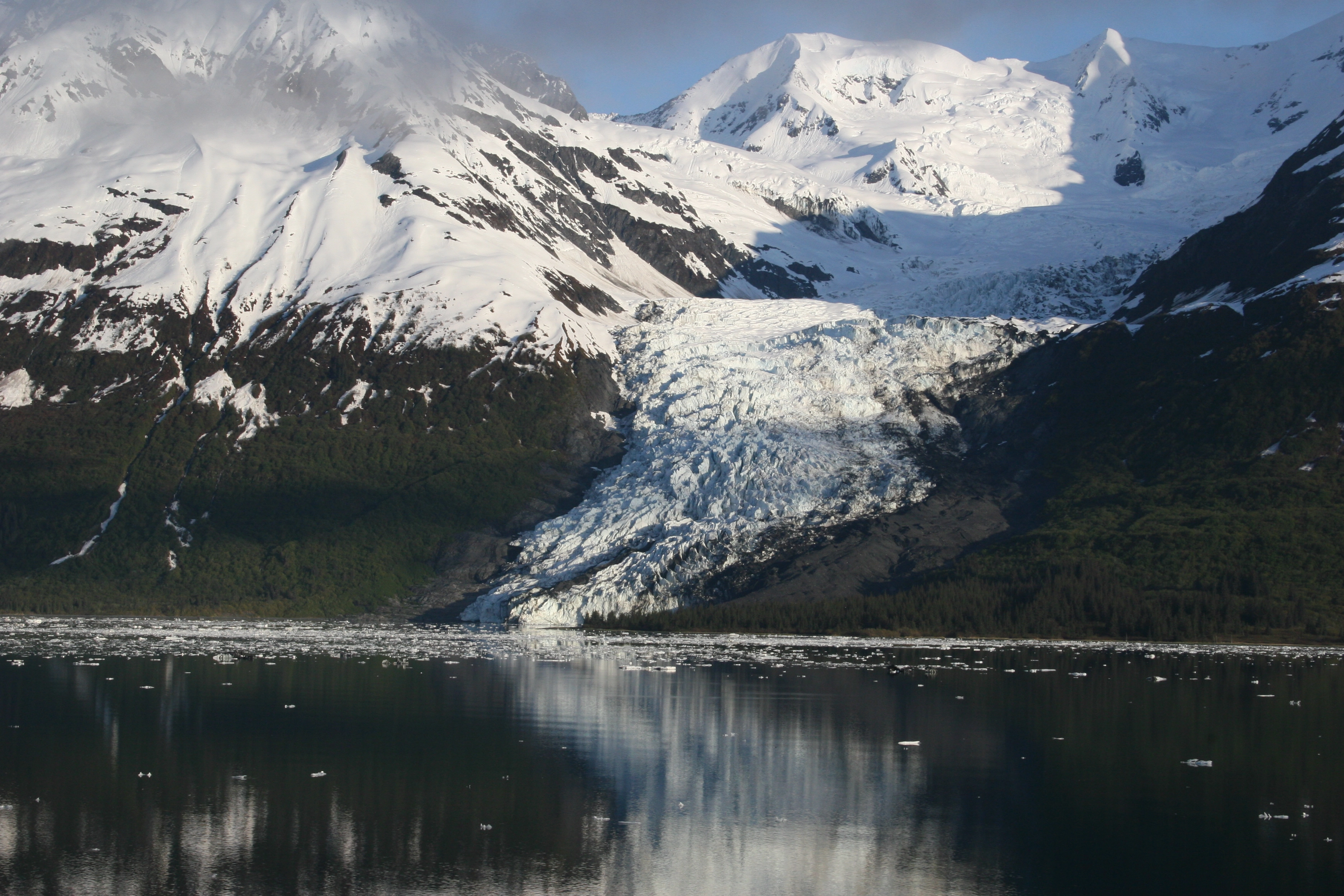 2023_HomePage_AlaskaGlacierBaywebp.webp