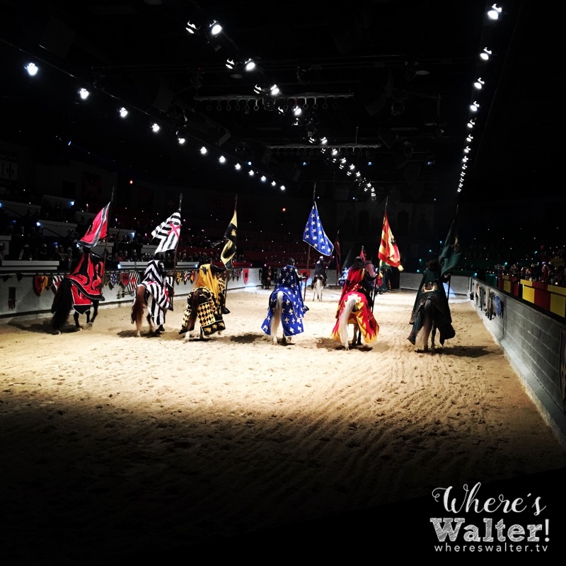 medieval times in atlanta georgia medieval times in atlanta georgia