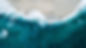 shifaaz-shamoon_small.jpg
