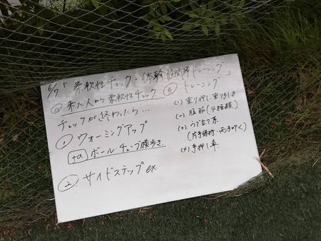 6/7 6/11のスポーツトレーニング講習会の様子