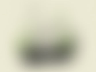 The Future of Graphic Design: A Graphic Designer's Perspective