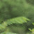 DEpic-2.jpg