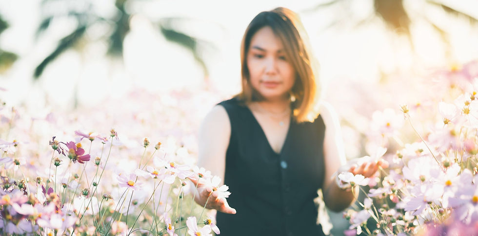 Phthalate Free Fragrance