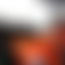 Les essais en vol se poursuivent sur NH90