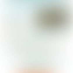 Prime de 1500 €?Y’a pas l’compte !