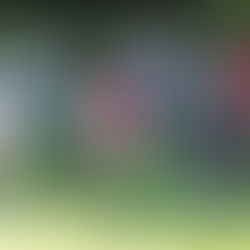 Les militants de la CFDT Retraités et la solidarité intergénérationnelle