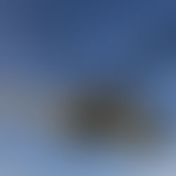 Bientôt plus de mordant pour les Cougar et Caracal