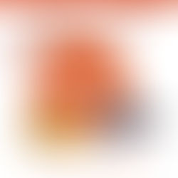 Liste Elections du CSE Airbus Helicopters Marignane 