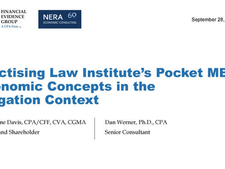 Co-Presented CLE for PLI: Economic Concepts in the Context of Litigation