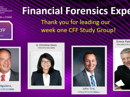 Chris Davis Serves as Moderator for the AICPA's CFF Committee Study Group Task Force