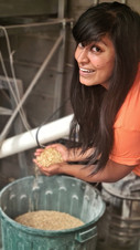 michelle brewing