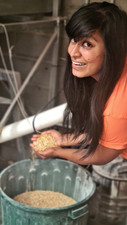 michelle brewing