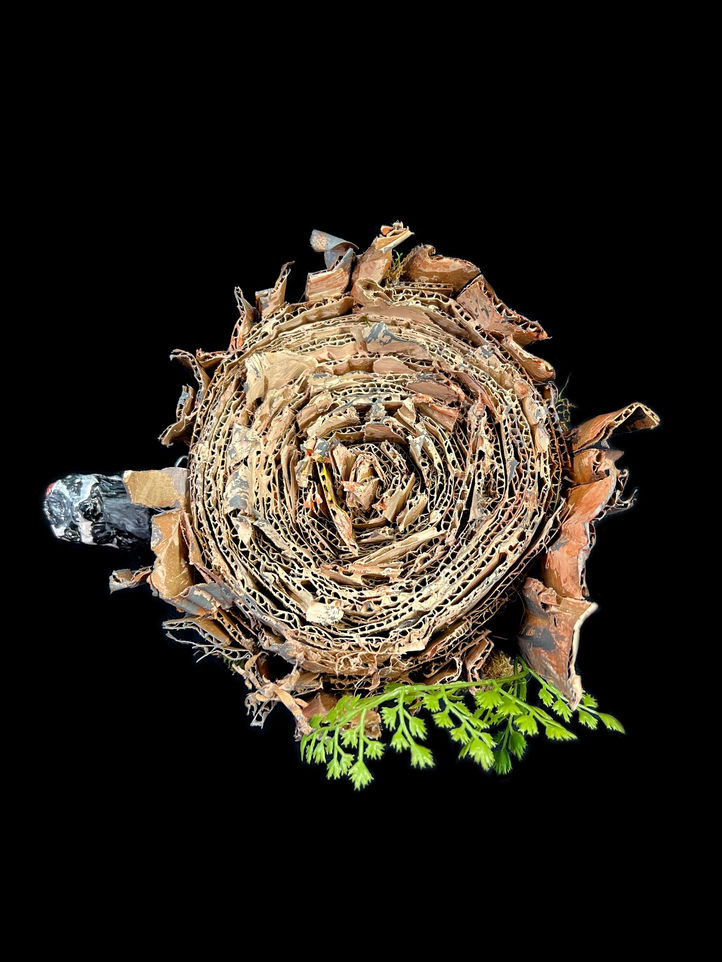 Woodpecker hat 