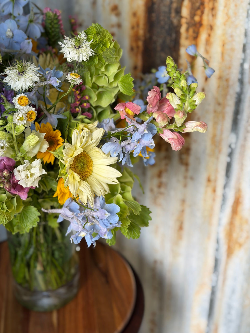 A fresh flower arrangement of designer sunflowers, light blue delphinium, pastel snapdragons, nigella, and ammobium at Skywyld Farm in Cottonwood, CA. 