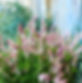B3497CE0-902A-465D-8E42-4EE32C0CF398.jpeg