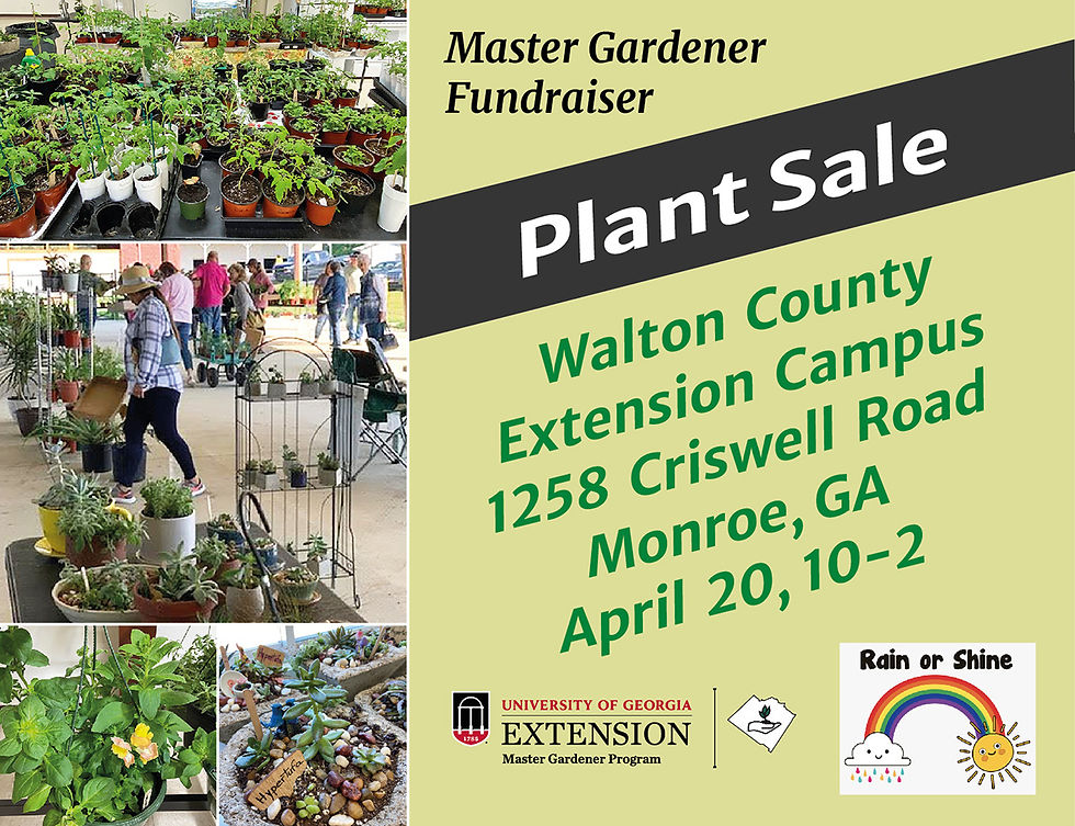 Plant sale planning meeting