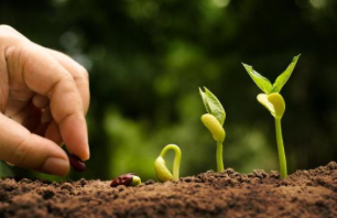 Fall Garden Talk on Hibernate and Germinate: Winter Sowing made Simple by Holly Hunt