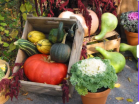 Fall Garden Talk on Fall Vegetable Gardening by Meghan Pasken