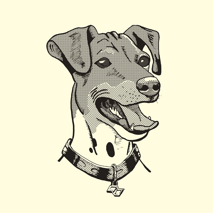 Detalhe Ilustração Fox Paulistinha coleção SP ROCKS All Ink Design Co.