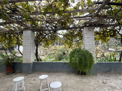 WhatsApp Image 2022-06-15 at 9.17.30 PM.jpeg