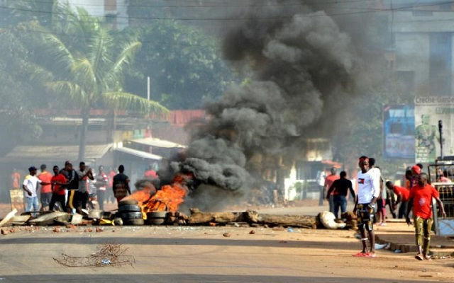 guinea8