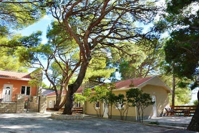 Bungalovi