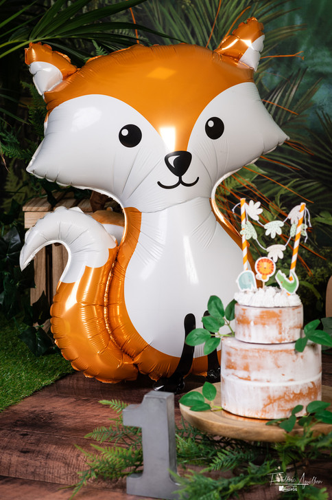 renard orange gateau creme studio photo