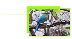 MAPA RUTA 1-09 Corregido.png